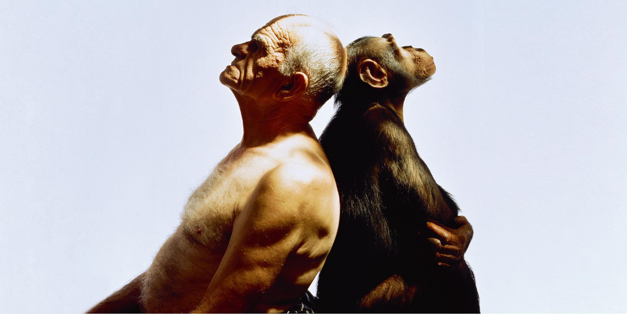 Человек и обезьяна